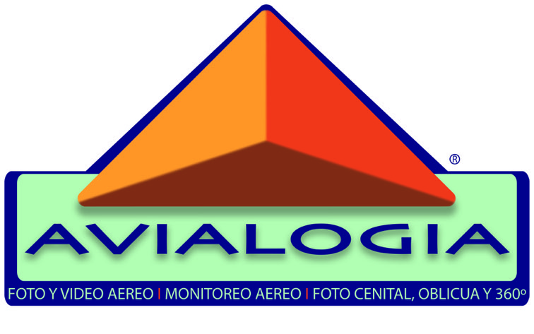 AvialogiaGel2019BlueAngleServ